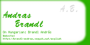 andras brandl business card