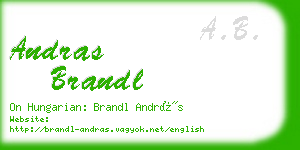 andras brandl business card